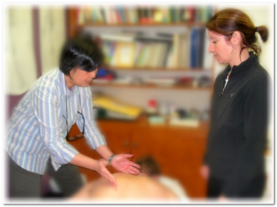 Acupuncture Workshops Advanced